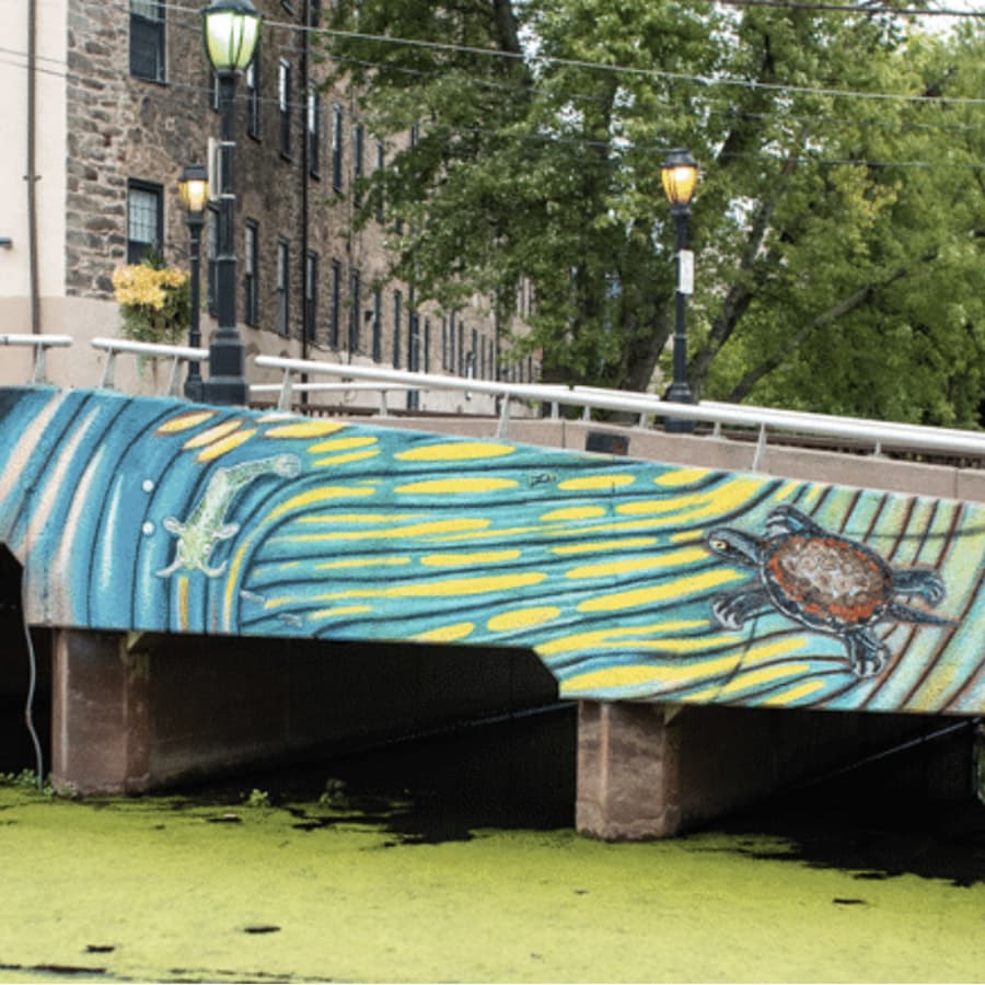 A colorful mural depicting a lizard and a turtle on a bridge over a green pond.